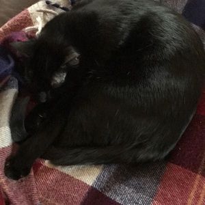 Meet your Posher, Dale